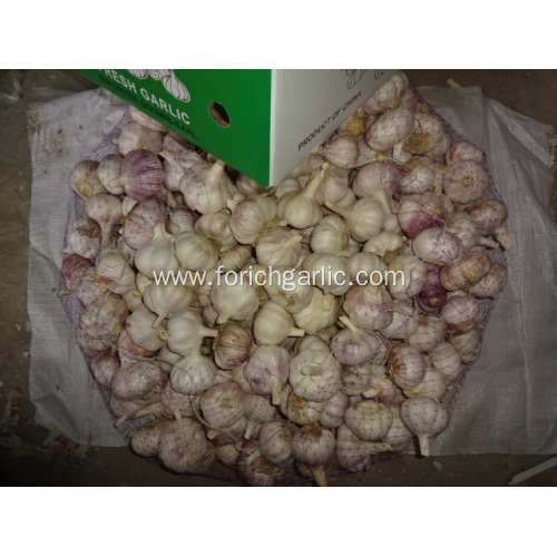 2020 Hot Sale Normal White Garlic